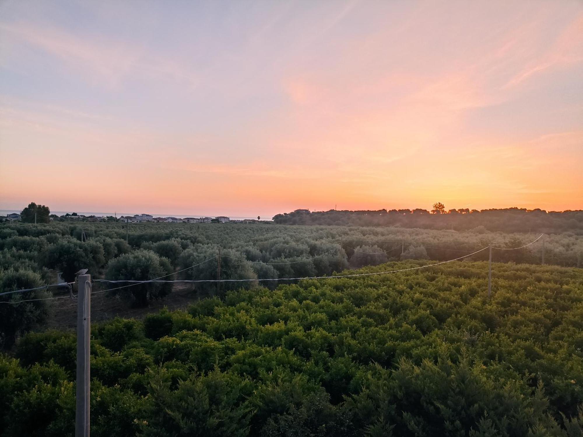 B&B Casa Gabriele Росано Екстериор снимка