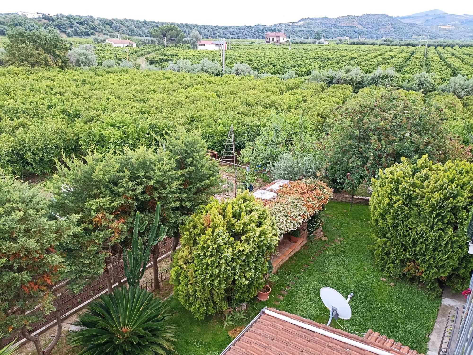 B&B Casa Gabriele Росано Екстериор снимка