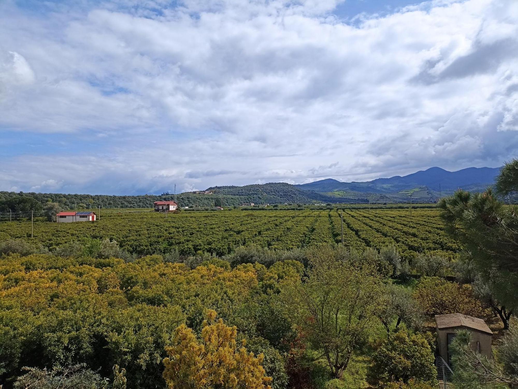 B&B Casa Gabriele Росано Екстериор снимка